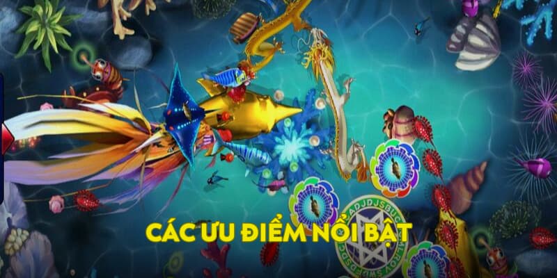 Các ưu điểm nổi bật